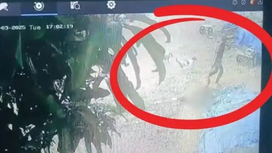 “懂技术”的厅官坦白：收了一串数字,香港6合开奖官网,典故解疑_破例版V9.44